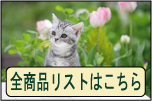 ��­ˡ�������ʥꥹ��